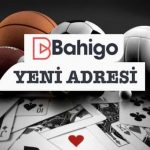 bahigo-yeni-adresi